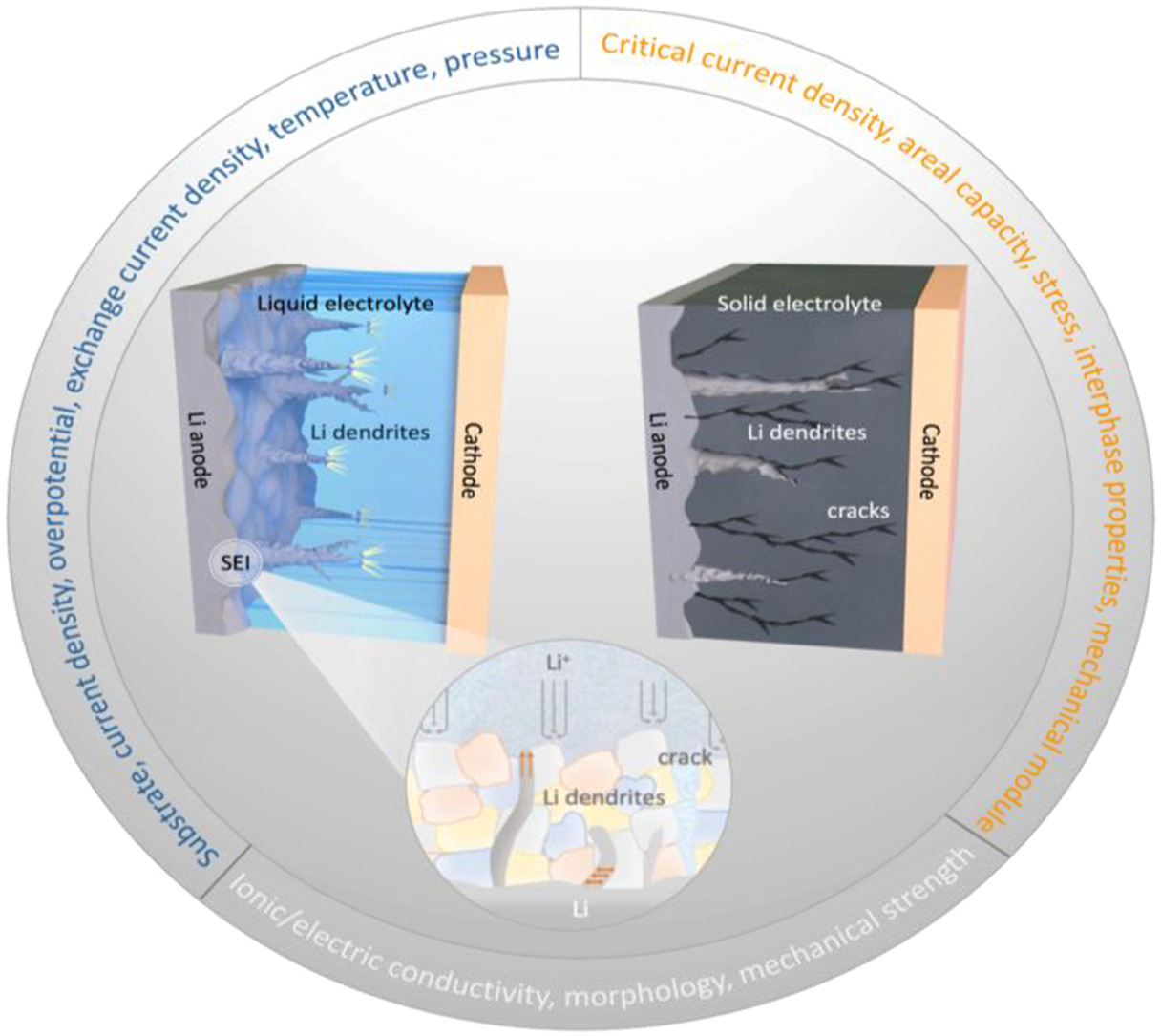 Why lithium metal batteries fail—and how mechanics may hold the key